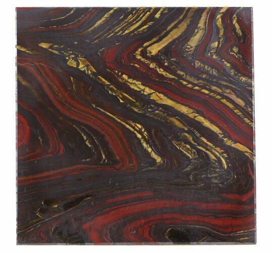Tiger Iron Stromatolite Shower Tile - Billion Years Old #48791